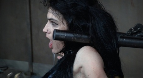 Dark haired chick Lydia Black endures facial abuse while restrained in dungeon 96797396