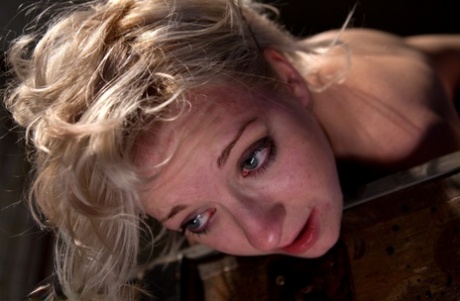 Blonde girl gets tortured with electrical devices by a dominant lesbian 91909625