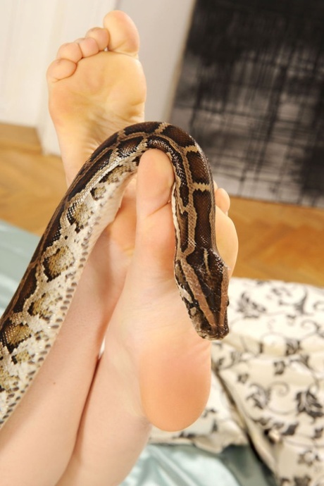 Sexy redhead Benji wraps a snake around her pretty feet and bare legs 56065534